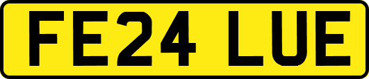 FE24LUE
