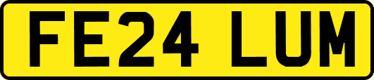FE24LUM