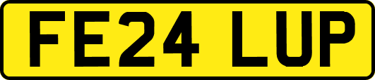 FE24LUP