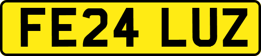 FE24LUZ