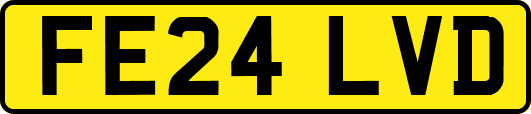 FE24LVD
