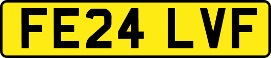FE24LVF