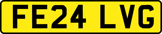 FE24LVG