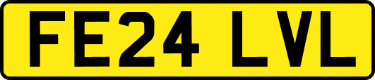 FE24LVL