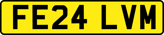 FE24LVM