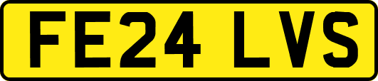 FE24LVS