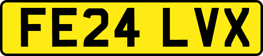 FE24LVX