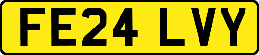 FE24LVY