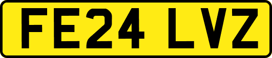 FE24LVZ