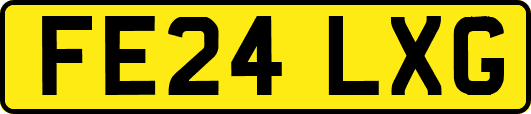 FE24LXG