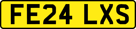 FE24LXS