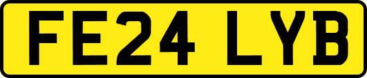 FE24LYB