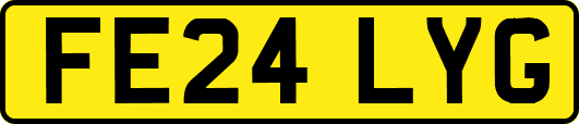 FE24LYG