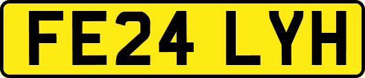 FE24LYH