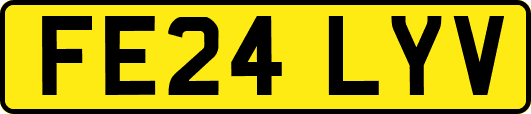FE24LYV