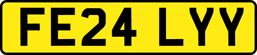 FE24LYY