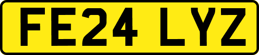 FE24LYZ