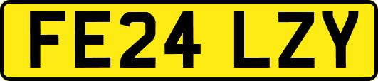FE24LZY