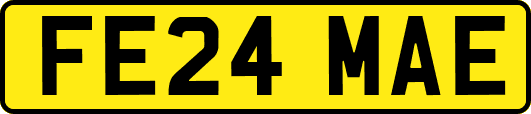 FE24MAE