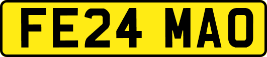 FE24MAO