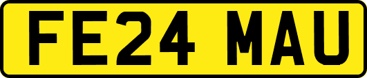 FE24MAU