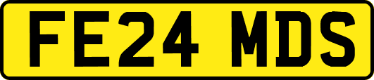 FE24MDS