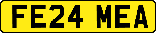 FE24MEA