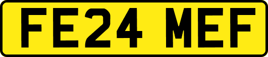 FE24MEF