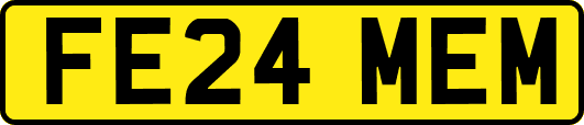 FE24MEM