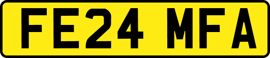 FE24MFA