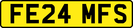 FE24MFS