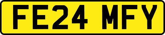FE24MFY