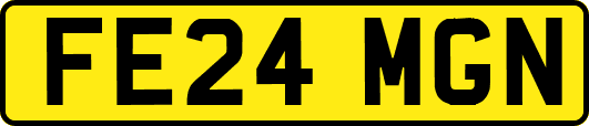 FE24MGN