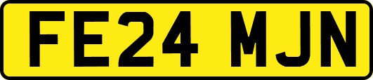 FE24MJN