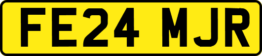 FE24MJR