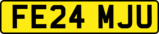 FE24MJU