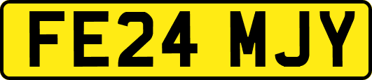 FE24MJY
