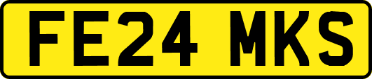 FE24MKS