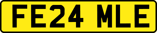 FE24MLE