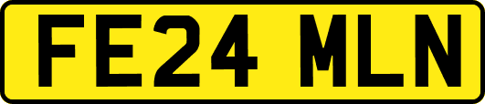 FE24MLN