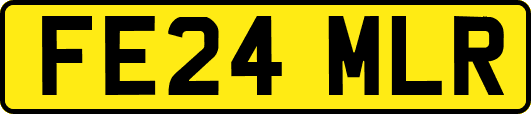 FE24MLR