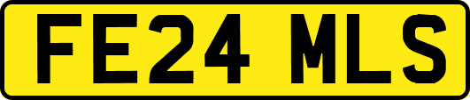 FE24MLS