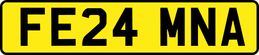 FE24MNA