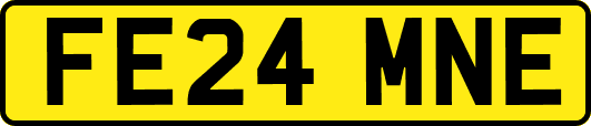 FE24MNE