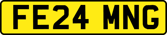 FE24MNG