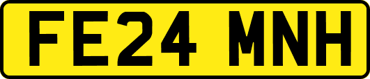 FE24MNH