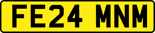 FE24MNM