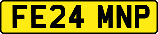 FE24MNP