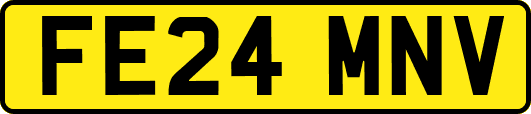 FE24MNV