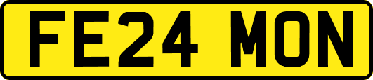 FE24MON